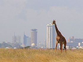 nairobi-travel-guide